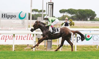 كأس فاطمة بنت مبارك تصل إلى كابنيللي