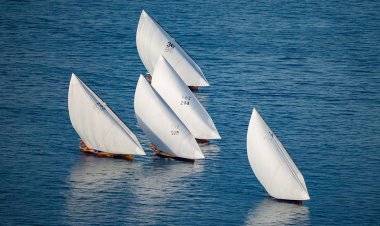 25 مليون درهم جوائز مهرجان دلما للمحامل الشراعية