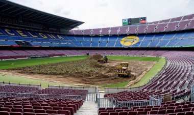 أسرار تجديد الكامب نو