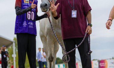 راشد الكتبي: طموح الإمارات "الريادة العالمية" في الفروسية
