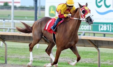 غداً.. تتنافس 8 خيول على كأس الوثبة بأمريكا