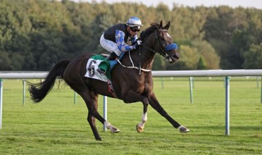 9 خيول تتنافس غداً على "كأس الوثبة" في فرنسا