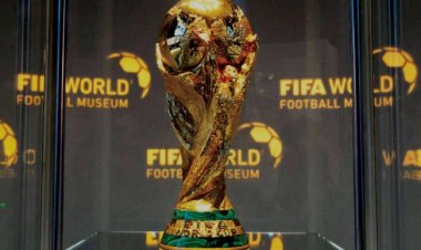 المغرب ثاني دولة عربية تنال شرف تنظيم المونديال