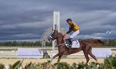 تتنافس 15 خيلاً في سباقي "الوثبة" بإسبانيا وبولندا غداً