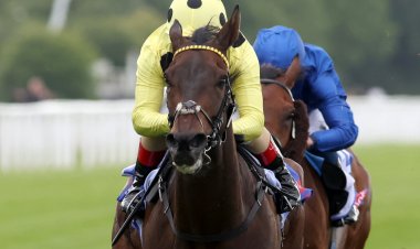 إنتزاع "ويذاوت إيه فايت" للقب "كولفيلد كب" الأسترالي