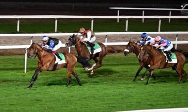 المهر "متباهي عذبة" بطلا لكأس زايد في فرنسا