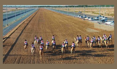 إعلان "حمدان بن محمد لإحياء التراث" انطلاق السباقات التمهيدية لماراثون عيد الاتحاد للهجن.