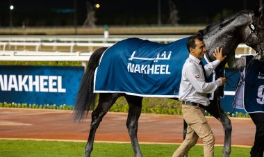 تنطلق غدا الأمسية الثانية لـ"كرنفال سباقات دبي" بـ8 أشواط في "ميدان"