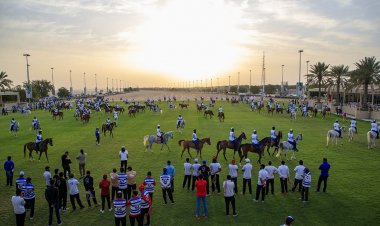 النسخة الـ16 لمهرجان ولي عهد دبي للقدرة تنطلق غدا بجوائز تبلغ 5 ملايين درهم